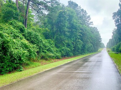 0000 Becky Ln, Magnolia, TX 77354 - photo 5