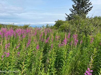IMG_9420