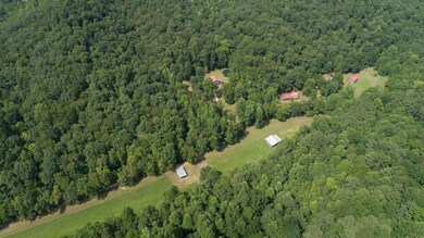 392 Mercer Rd, Linden, TN 37096 - photo 3