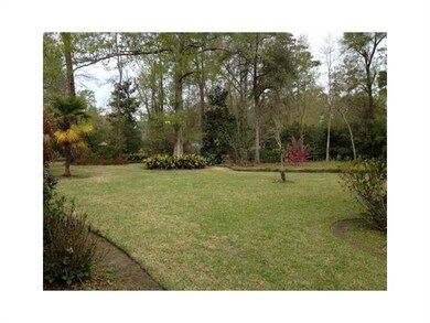 Backyard.
