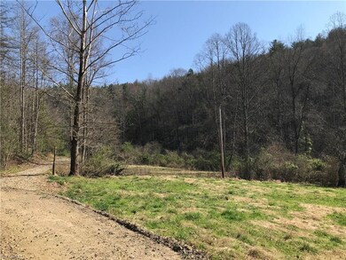 1455 Caseys Branch Rd, Purlear, NC 28665 - photo 4