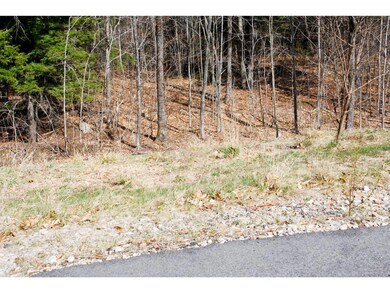 66 Grandview Rd, Conway, NH 03860 - photo 6