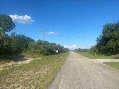 1223 Milwaukee Blvd, Lehigh Acres, FL 33974 - photo 3