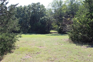 Back side of cleared area