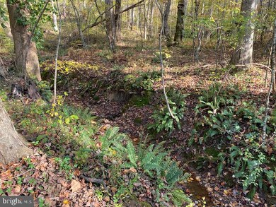 Lot B4 Mountain Ridge Way, Culpeper, VA 22701 - photo 6