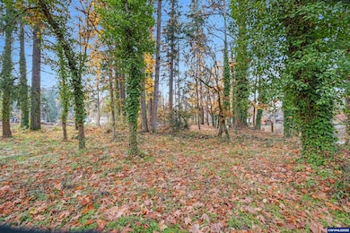 17857 Sounth Abiqua Ln NE, Silverton, OR 97381 - photo 5