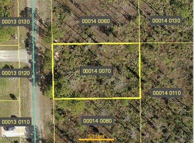 729 Santa Lucia Ave S, Lehigh Acres, FL 33974 - photo 3