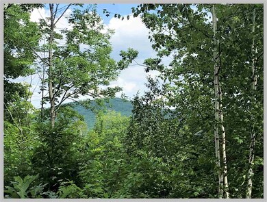 Lot #14 Point of View Dr, Plymouth, NH 03264 - photo 2