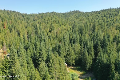 DJI_0355