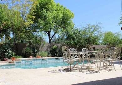 Backyard1