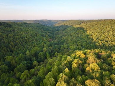 0 S Side Chenoweth Fork Rd, Sunfish Township, OH 45660 - photo 7