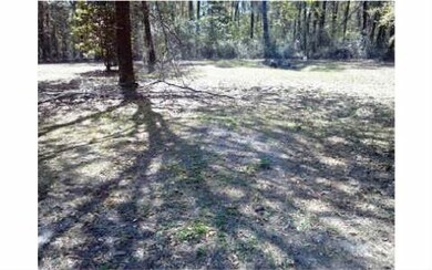 1376 NW Lake Jeffery Rd, Lake City, FL 32055 - photo 2