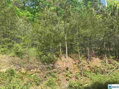 8525 Emerald Lake Dr W unit Lot 242 A and B, Pinson, AL 35126 - photo 2