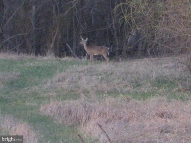 0 Steamboat Run Rd unit 1004352034, Shepherdstown, WV 25443 - photo 7