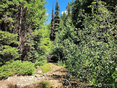 0 XX E Fork Cougar Creek Rd, Wauconda, WA 98859 - photo 5