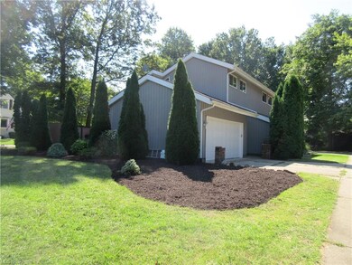 Nice yard
