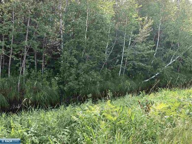 TBD Dass Rd, Meadowland, MN 55765 - photo 3