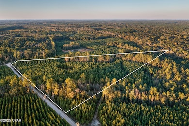 1503 Open Creek Rd unit North Lot, Chipley, FL 32425 - photo 6