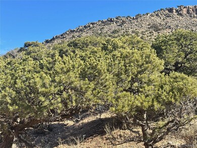 lot 2446 Zuni Rd, Sangre de Cri, CO 81133 - photo 7