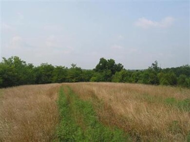 3 Bear Creek Rd, Lawrenceburg, KY 40342 - photo 6