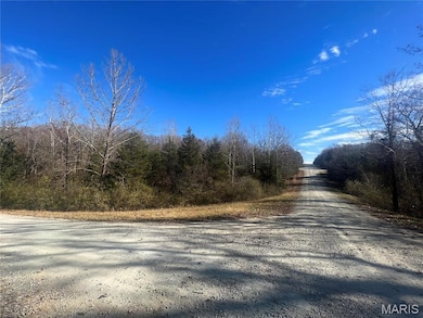 0 Rue de la Paix unit MIS25077778, Bonne Terre, MO 63628 - photo 2