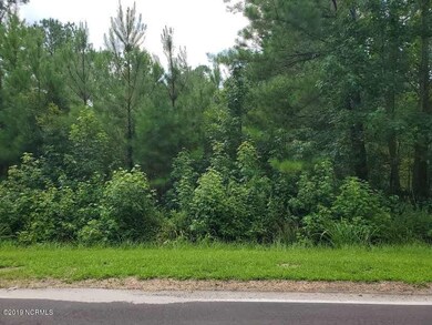 918 Balcombe Rd, Rocky Point, NC 28457 - photo 3