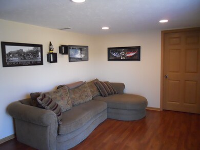 lower level family room