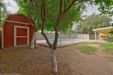 Shed