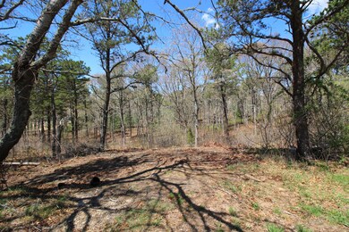 390 Capn Lijah Rd, Centerville, MA 02632 - photo 3