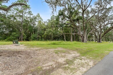 17287 SW 11 Ct, Newberry, FL 32669 - photo 6