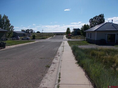 tbd Lone Cone St, Norwood, CO 81423 - photo 5