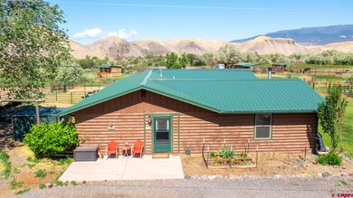 10341 Tongue Creek Rd, Austin, CO 81410 - photo 7