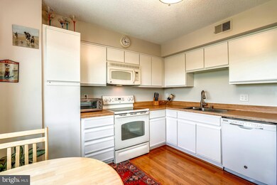 The Fairways unit 6805, Silver Spring, MD 20906 - photo 6