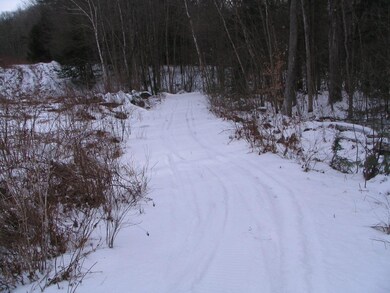 0 Bolton Rd, Winchester, NH 03470 - photo 5