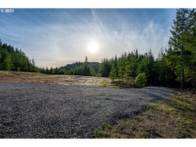 94053 Pleasant Valley Ln, Myrtle Point, OR 97458 - photo 4