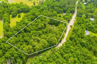 4128 Osceola Trail, Middleburg, FL 32068 - photo 4