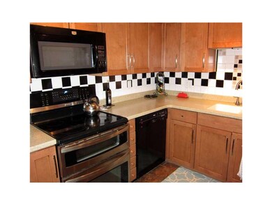 Kitchen. Convection oven