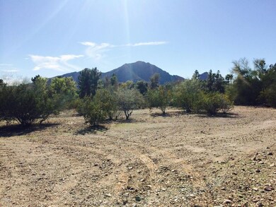 photo (1)