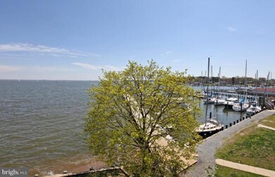 103A Eastern Ave, Annapolis, MD 21403 - photo 6