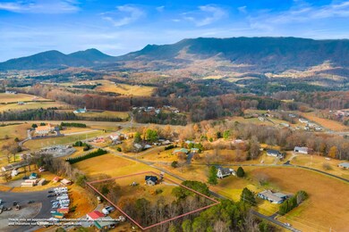 141 Robert e Lee Dr, Newport, TN 37821 - photo 6