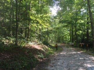 525 Cold Cave Rd, Wellington, KY 40387 - photo 4
