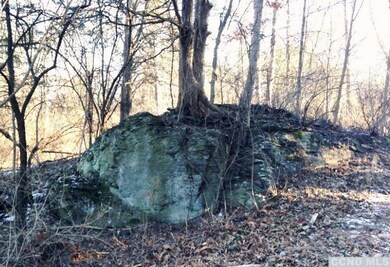 0 New York 9g, Red Hook, NY 12571 - photo 2