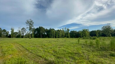 444-01 Tall Oaks Rd, Defuniak Springs, FL 32435 - photo 5