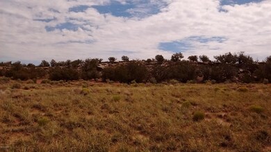 Grassland and bluff