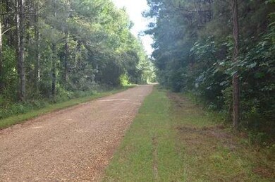 26.8 Acres Jimi Brumfield Rd, Franklinton, LA 70438 - photo 5