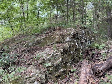 Tract 3 4 unit Terrapin Road, Harrison, AR 72601 - photo 5