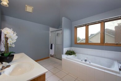 4767 Fesseneva Ln, Naperville, IL 60564 - photo 5