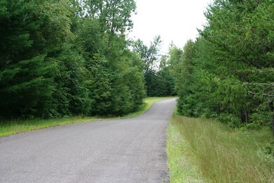 27320 Pope Rd, Webster, WI 54893 - photo 3