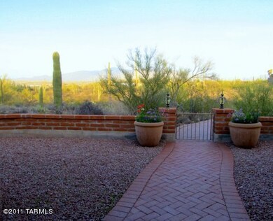 tucson owls 051