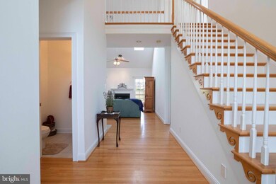 103 Courtyard Terrace, New Market, VA 22844 - photo 4